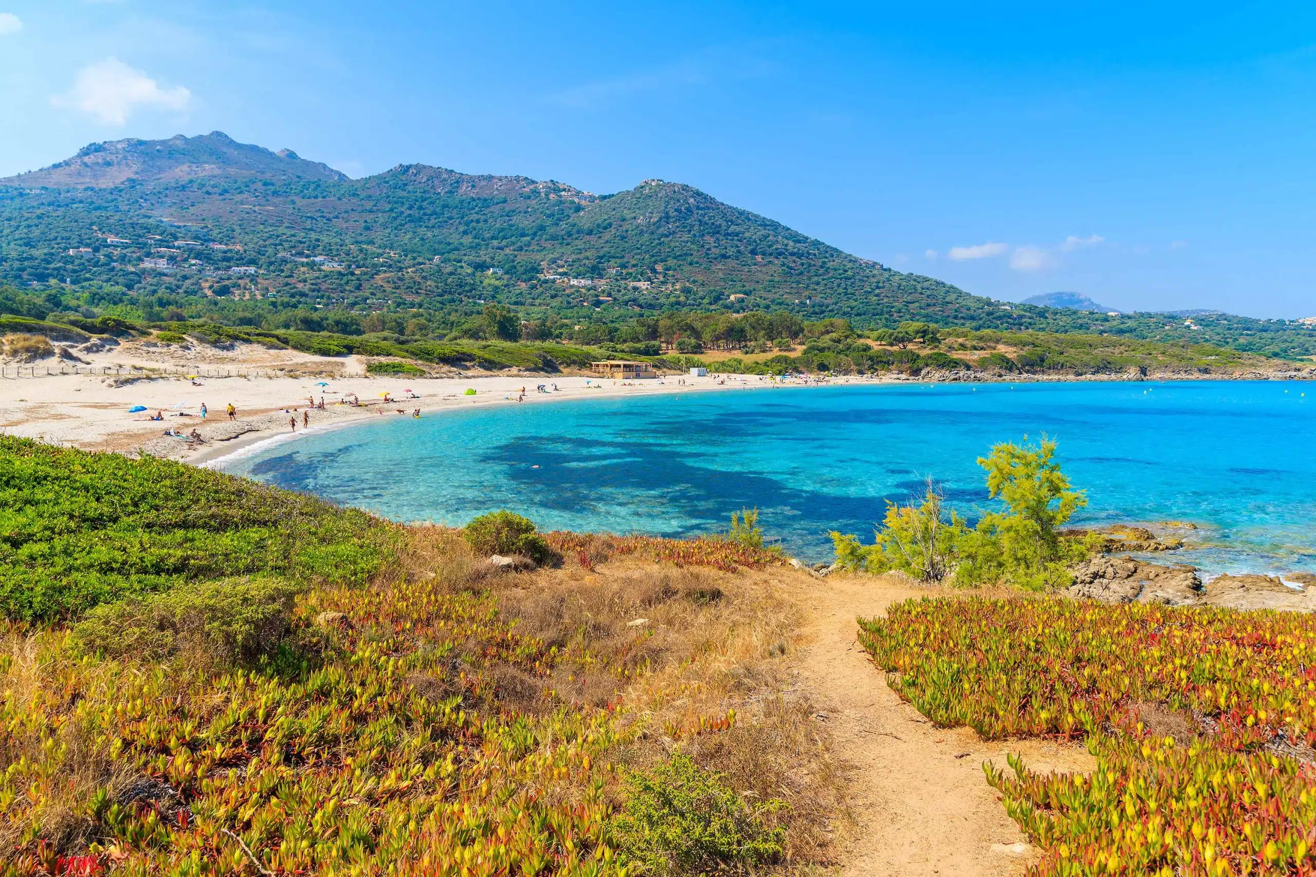 shutterstock_308513372 Saleccia beach, St Florent, Corsica