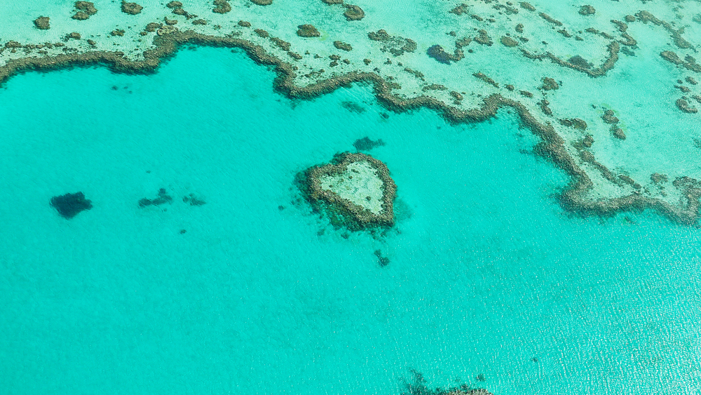 Heart,Reef,In,The,Great,Barrier,Reef,,Queensland,In,Australia