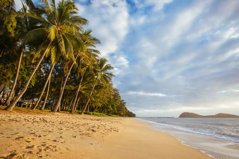 The,Famous,Idyllic,Beachfront,Of,Palm,Cove,At,Sunrise,In