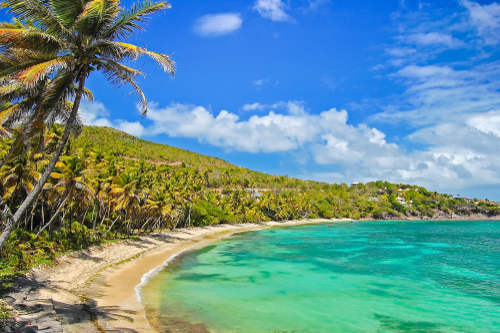 Beautiful,Industry,Bay,On,Bequia,Island,,Caribbean,Sea,Region,Of