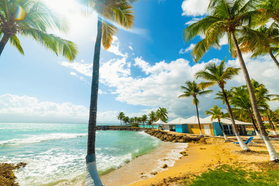 Marina Bas du Fort, Guadeloupe