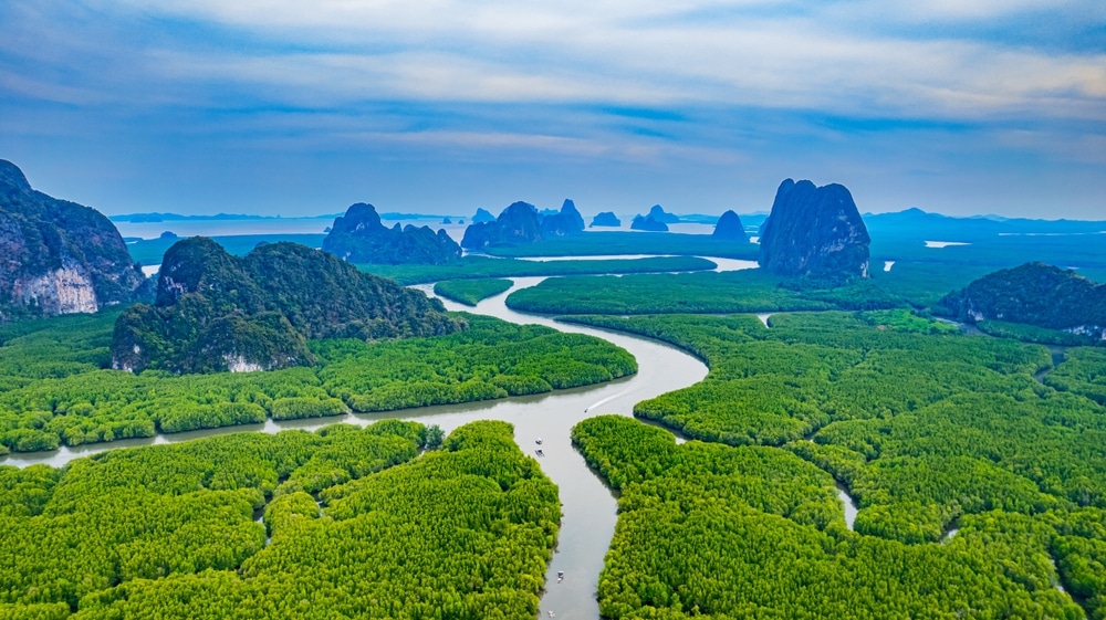 Mangrove,Forest,And,River,View,Of,Phang,Nga,Bay,In