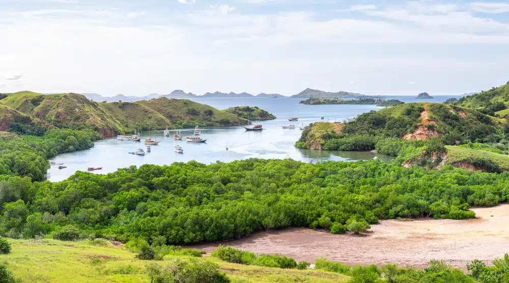 Panoramic,View,Of,Rinca,Island,,Indonesia