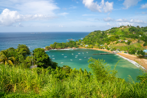 Beautiful,Remote,Island,Of,Tobago.,Empty,Wild,Beaches,,Palm,Trees,