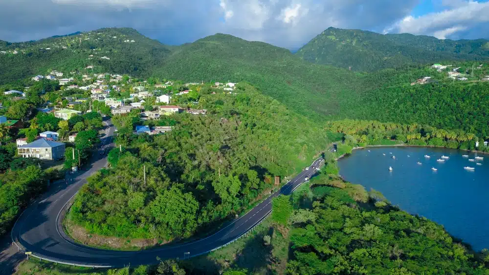 Guadeloupe Island
