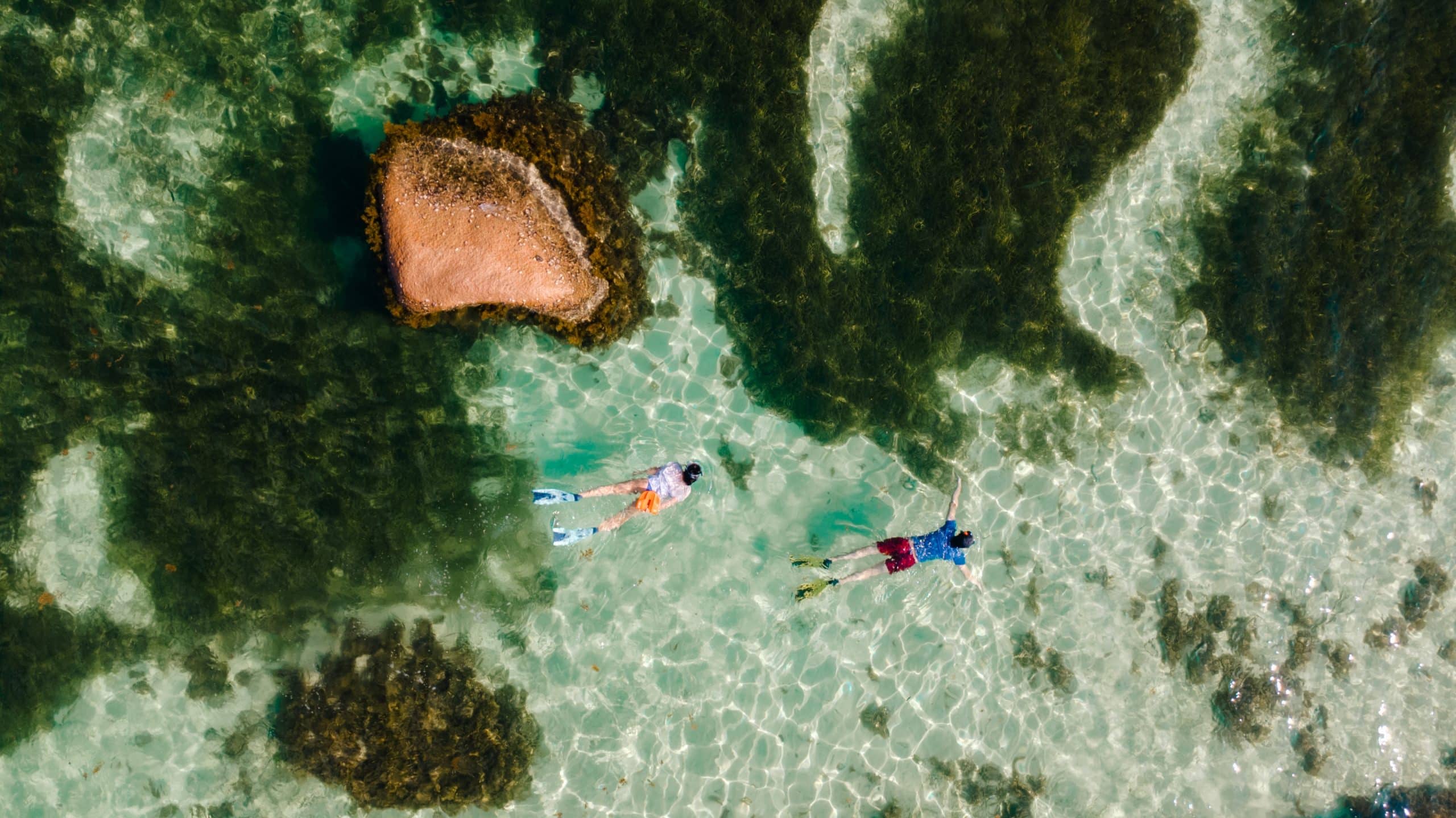 Delight,In,A,Serene,Day,At,Grand,Anse,Beach,Where