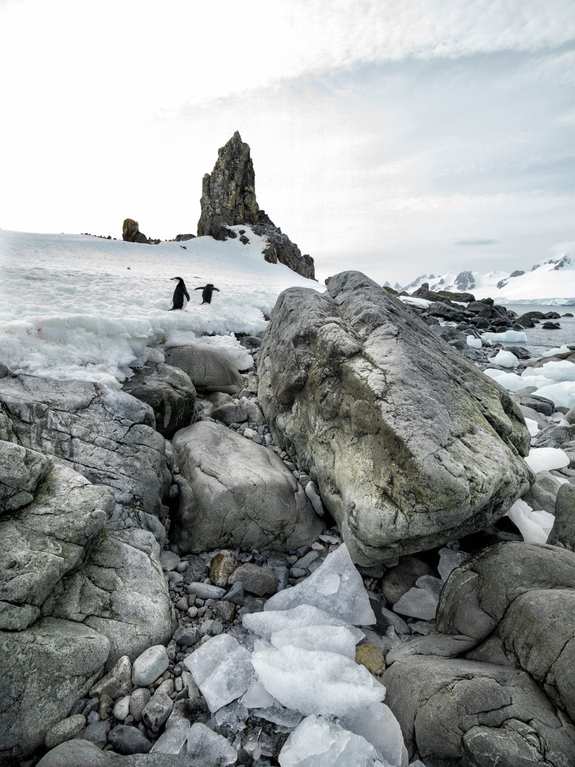 Antarctica,And,Iceberg,Landscape,Detail,Of,Various,Forms,And,Sizes