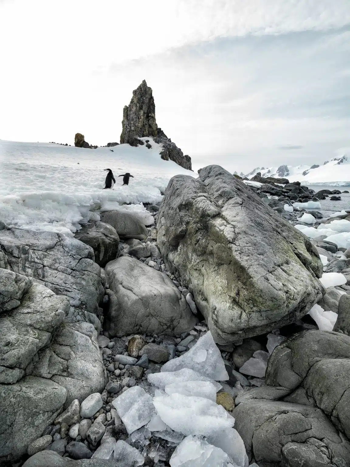 Antarctica,And,Iceberg,Landscape,Detail,Of,Various,Forms,And,Sizes